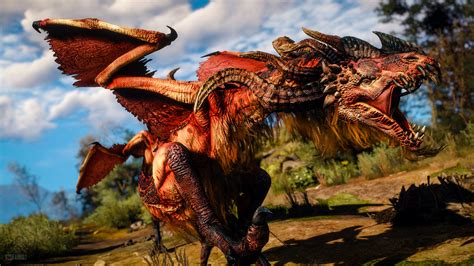 dragons in witcher 3